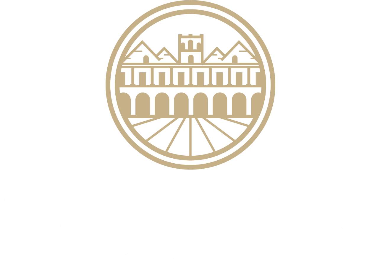 Movimiento Pro-Municipalización de la Región Tacoaleche